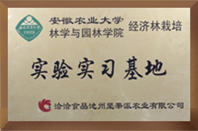 安农大实验实习大香蕉福利视频