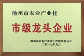 市级龙头午夜香蕉视频免费看
