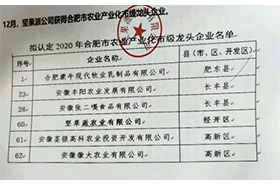 2020年合肥市农业产业化市级龙头午夜香蕉视频免费看